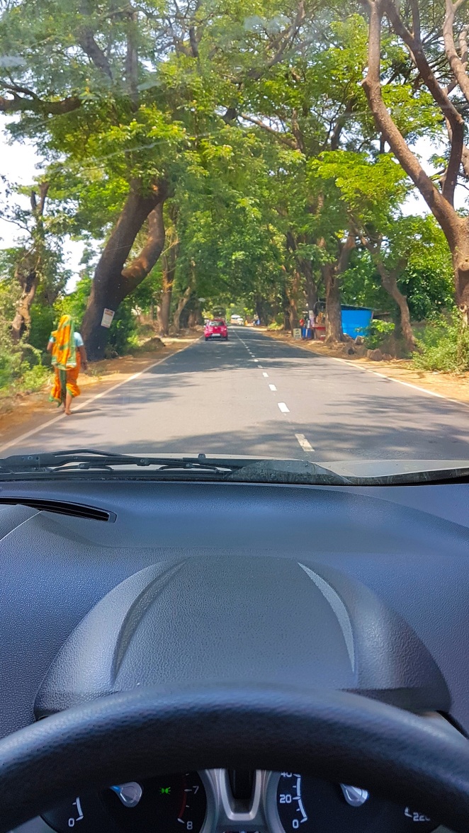 drive back from tarkarli (15)